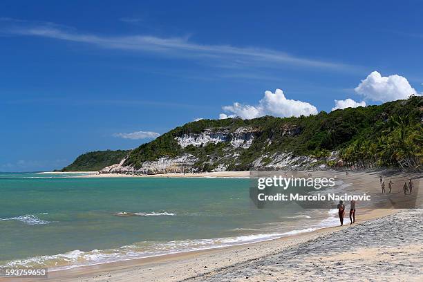 praia do espelho in trancoso - espelho stock pictures, royalty-free photos & images