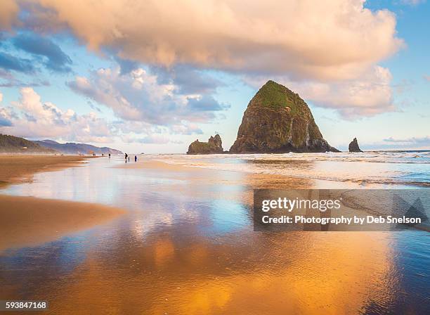 golden hour on cannon beach with haystack rock - farallón fotografías e imágenes de stock