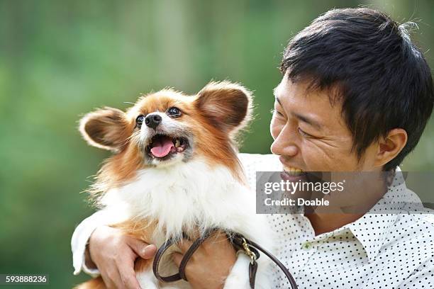 Pabilom 120 Nice Papillon Stock Photos, High-Res Pictures, and Images - Getty ...
