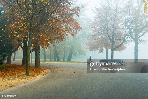 vondelpark in mist during morning - vondelpark stockfoto's en -beelden