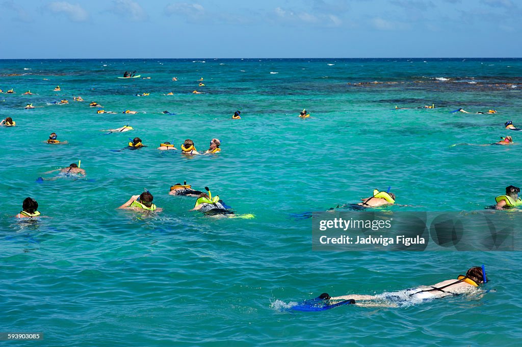 People snorkel in clear blue ocean.