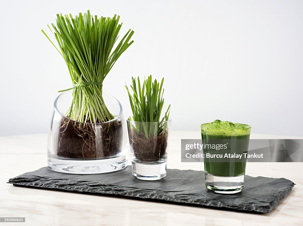 Wheatgrass juice