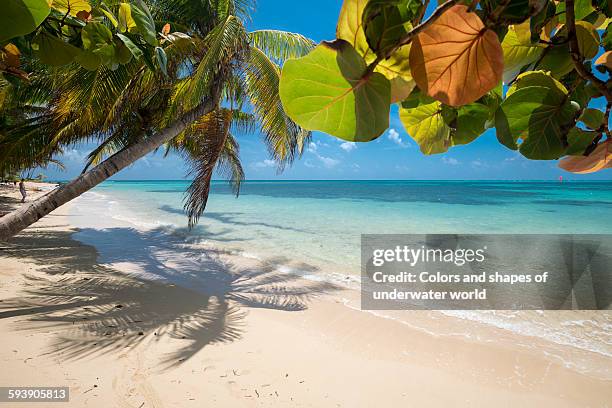 caribbean blue - nicaragua stock pictures, royalty-free photos & images