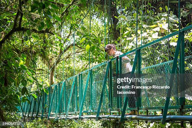 costa rica, hanging bridges in modteverde - bosque nuboso monteverde fotografías e imágenes de stock