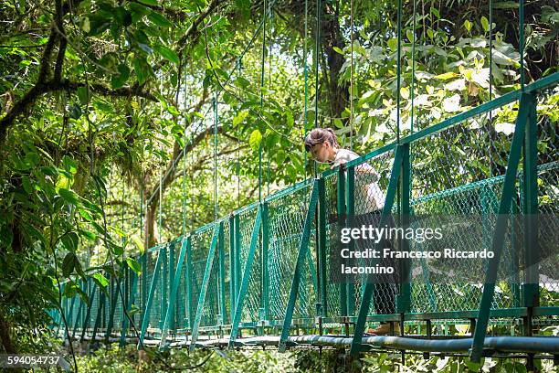 costa rica, hanging bridges in modteverde - iacomino costa rica stock pictures, royalty-free photos & images