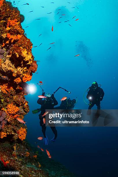 unterwasserfotograf taucher fotografieren erkunden sie korallenriff sea life - kleine menschengruppe stock-fotos und bilder