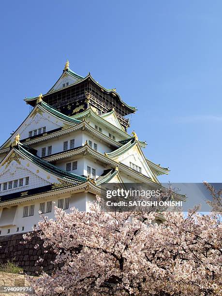 osaka castle - stadt osaka stock-fotos und bilder