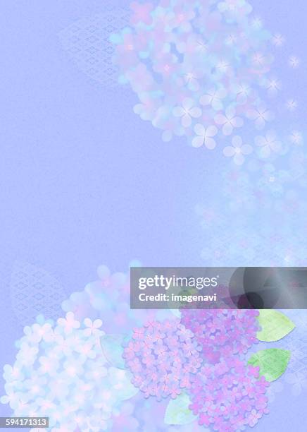 oriental background with hydrangea - blue hydrangea stock illustrations