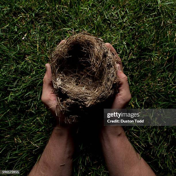 usa, utah, orem, hands holding empty animals nest - hands cupped empty ストックフォトと画像