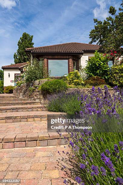 front garden and path to english bungalow - bungalow stock pictures, royalty-free photos & images