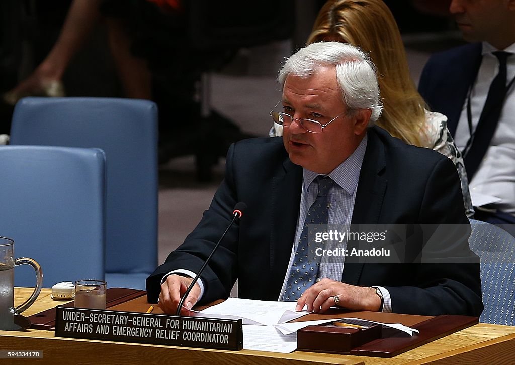 The United Nations Security Council in New York