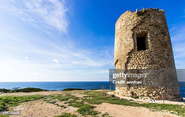 the tower - annfrau stock pictures, royalty-free photos & images