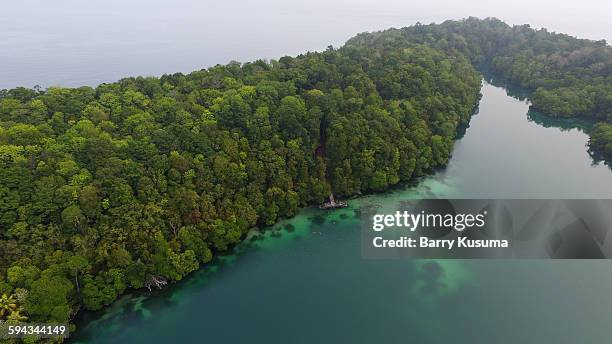 derawan and maratua islands - derawan island stock pictures, royalty-free photos & images