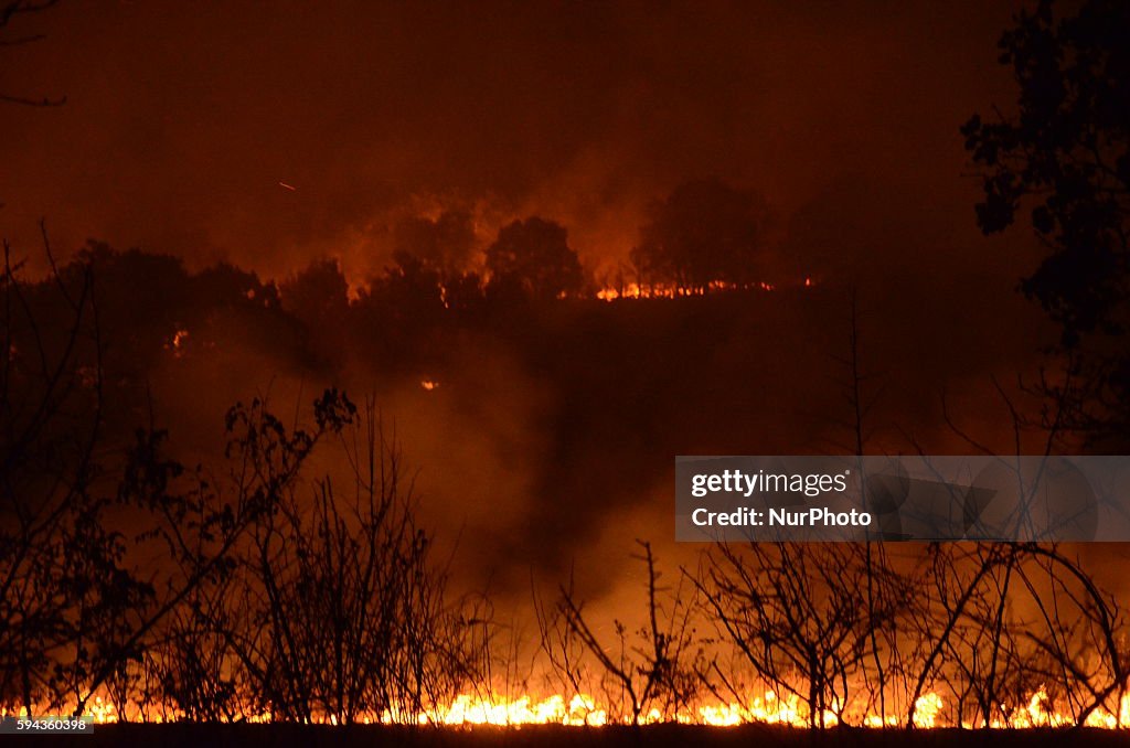 Fire  near the Bulgarian-Turkish border