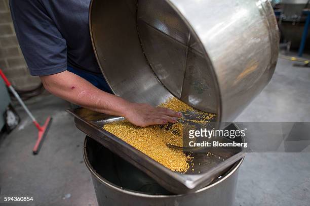 An employee sifts through gold grain as it cools down after being melted down at the Baird & Co. Ltd. Precious metals refinery in London, U.K., on...
