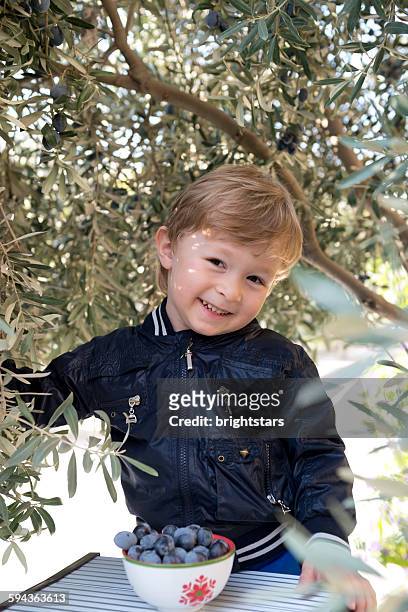 3-year-old boy picking olives - 1850 2015 stock pictures, royalty-free photos & images