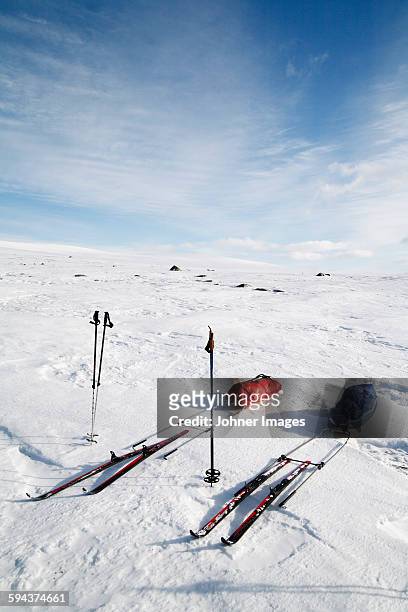 skis and toboggan - 北歐滑雪項目 個照片及圖片檔