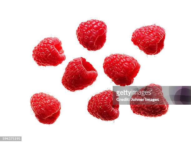 raspberries on white background - red berry stock pictures, royalty-free photos & images