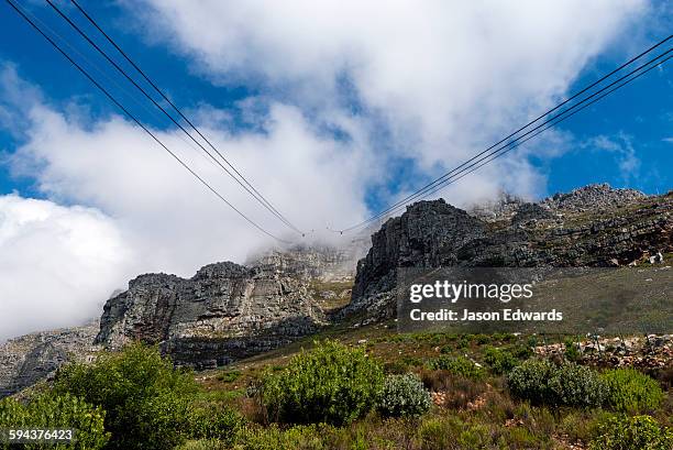 table mountain, cape town, western cape, south africa. - tafelberg foto e immagini stock