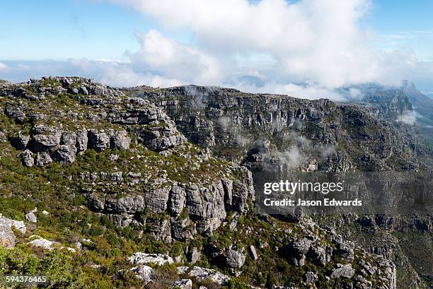 table mountain, cape town, western cape, south africa. - tafelberg foto e immagini stock