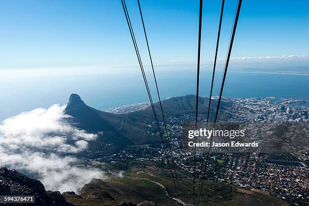 lions head, table mountain, cape town, western cape, south africa. - tafelberg foto e immagini stock