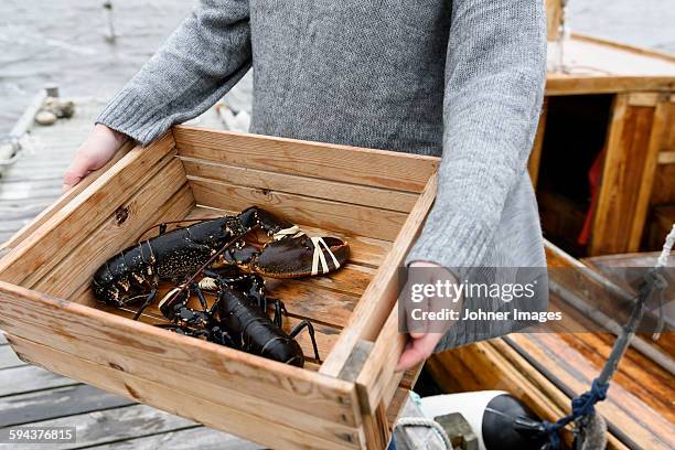 woman carrying lobsters, close-up - grebbestad stockfoto's en -beelden