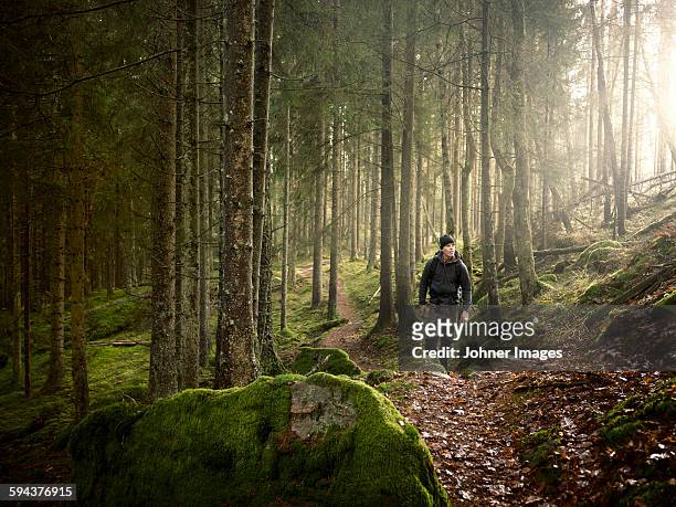 man in forest - forest scandinavia stock-fotos und bilder