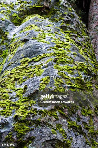 hanging rock recreation reserve, woodend, victoria, australia. - mamelon stock pictures, royalty-free photos & images