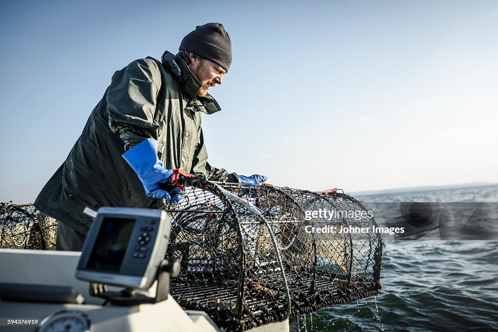 Fisherman with lobster trap