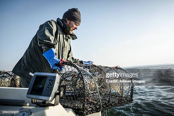 fisherman with lobster trap - fisherman foto e immagini stock