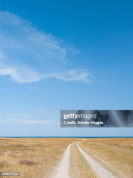 dirt track going through meadow - skane stockfoto's en -beelden