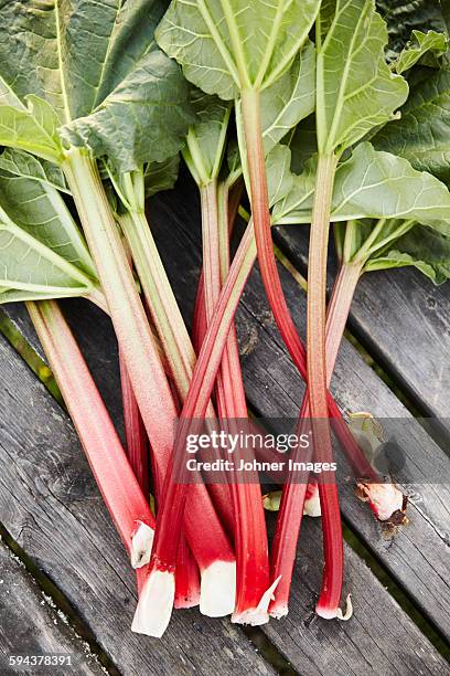 rhubarb on wooden table - rabarber stockfoto's en -beelden
