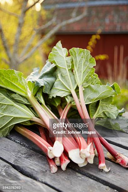 rhubarb on wooden table - rabarber stockfoto's en -beelden