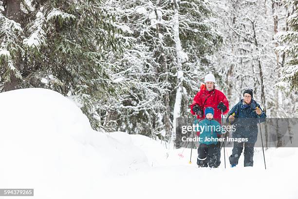 boy skiing with parents - dalarna bildbanksfoton och bilder