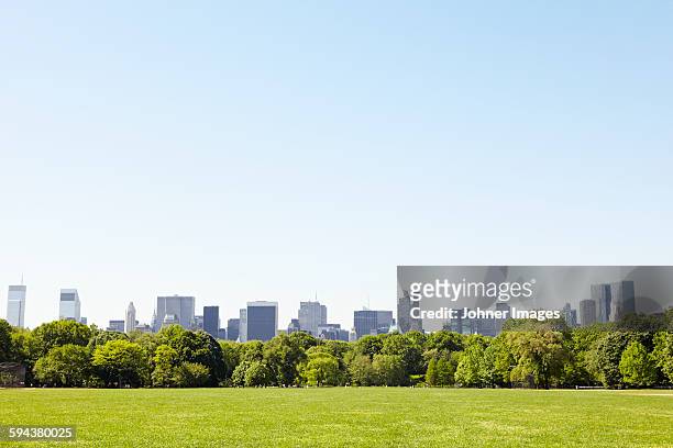 central park with manhattan skyline, new york city, usa - central park view stockfoto's en -beelden