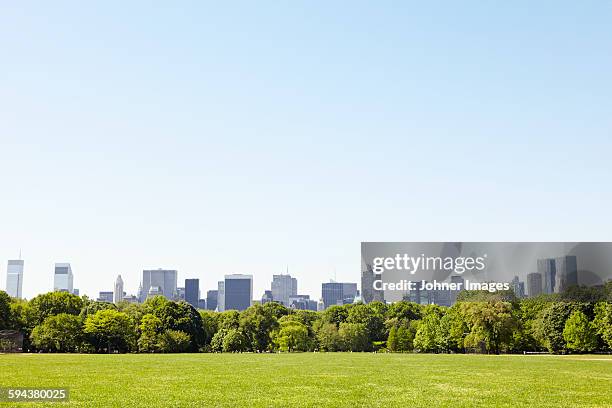 central park with manhattan skyline, new york city, usa - new york city park stock pictures, royalty-free photos & images