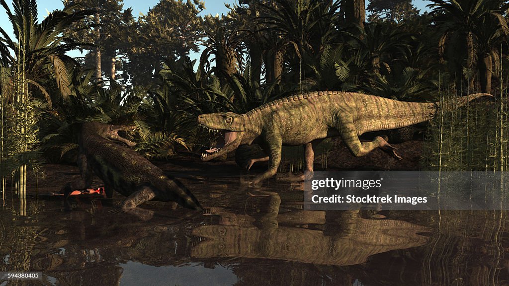 Batrachotomus confronts a Nothosaurus in the Triassic period.