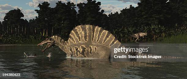 spinosaurus hunting for fish in a lake. - morphology stock illustrations