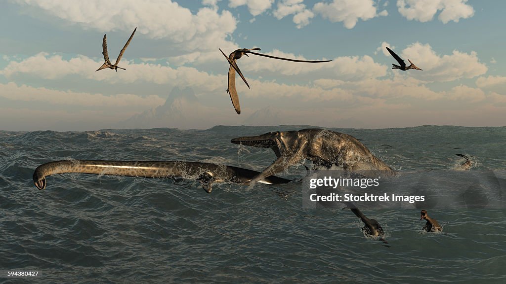 Tylosaurus attacks a Styxosaurus in Cetaceous waters.