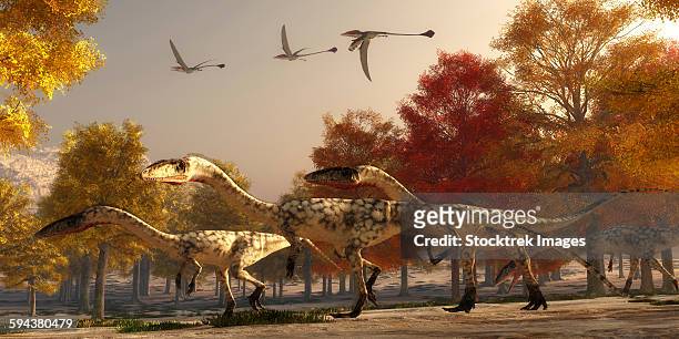 three eudimorphodons fly above a group of coelophysis in an autumn forest. - paleobiology stock illustrations