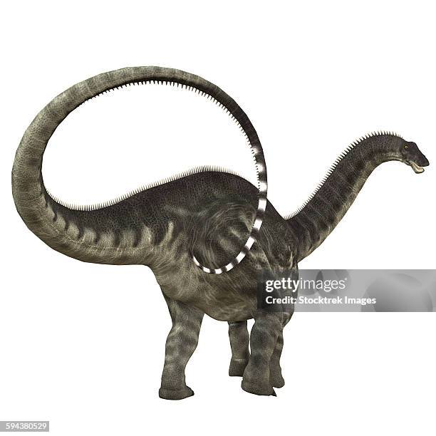 apatosaurus dinosaur. - empty swing stock illustrations
