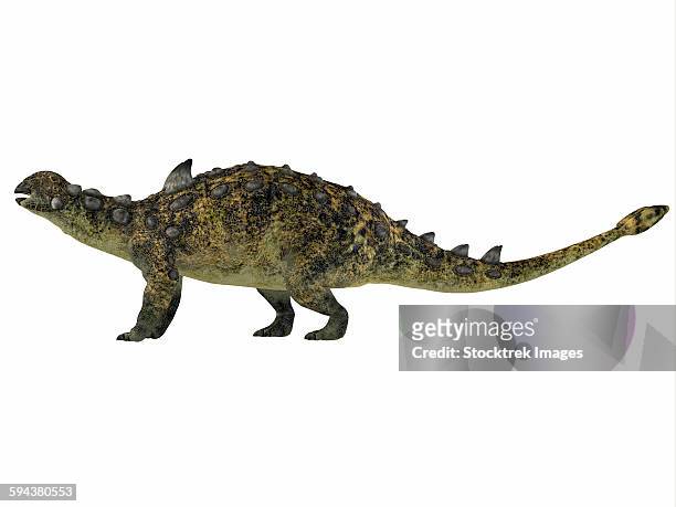 ilustraciones, imágenes clip art, dibujos animados e iconos de stock de euoplocephalus is an armored dinosaur that lived during the cretaceous period of canada. - scute