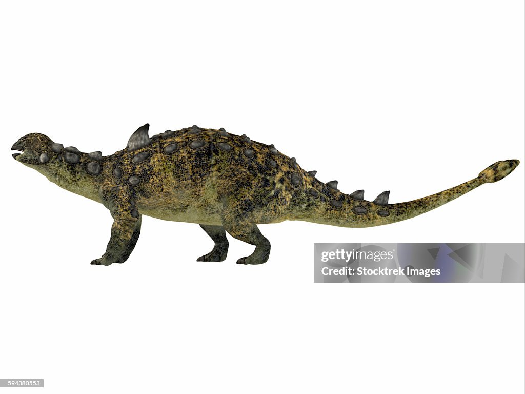 Euoplocephalus is an armored dinosaur that lived during the Cretaceous period of Canada.