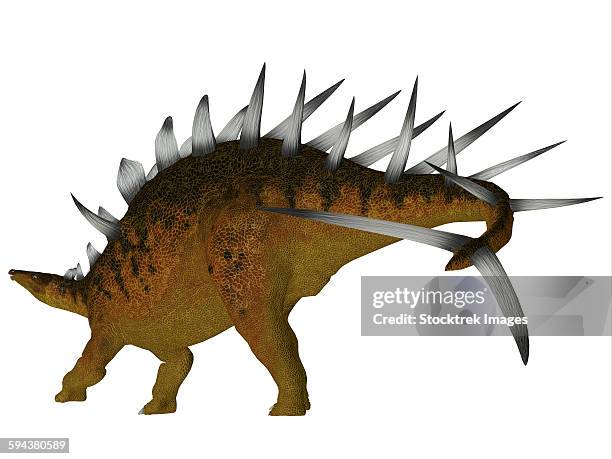 kentrosaurus was a herbivorous dinosaur that lived in the late jurassic period of tanzania. - scute stock illustrations