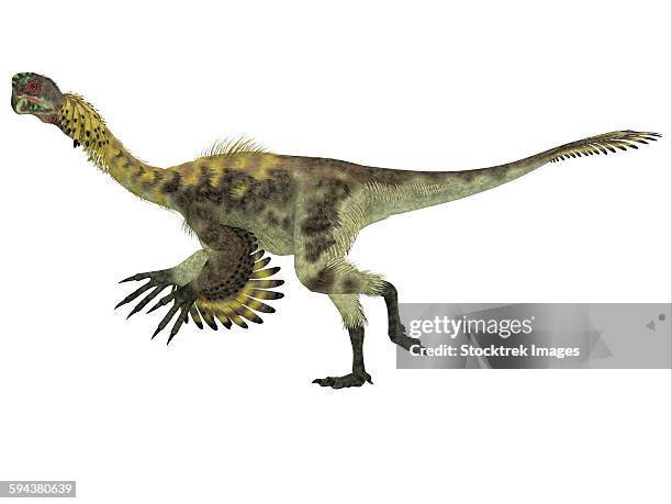 citipati dinosaur, white background. - dromaeosauridae 幅插畫檔、美工圖案、卡通及圖標