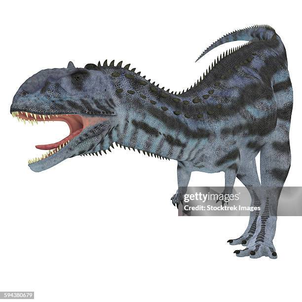 Metasaurus Illustrations, cliparts, dessins animés et icônes de Megasaurus - Getty ...