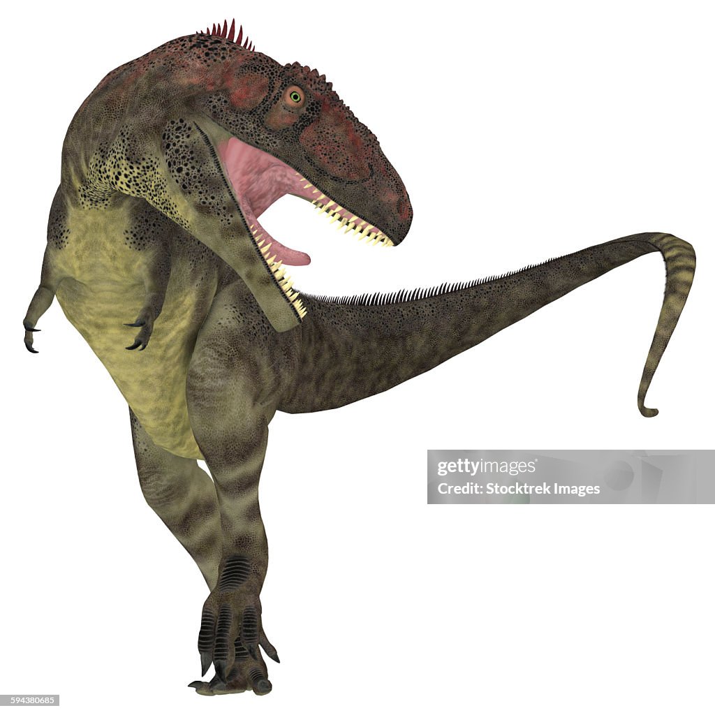 Mapusaurus Dinosaur White Background High-Res Vector Graphic - Getty Images