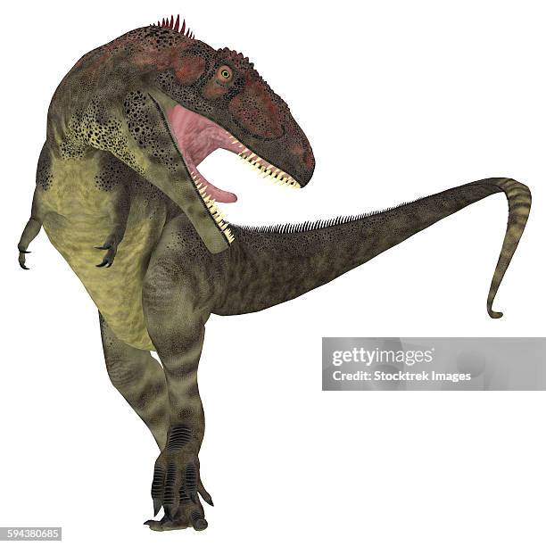 Mapusaurus Photos and Premium High Res Pictures - Getty Images