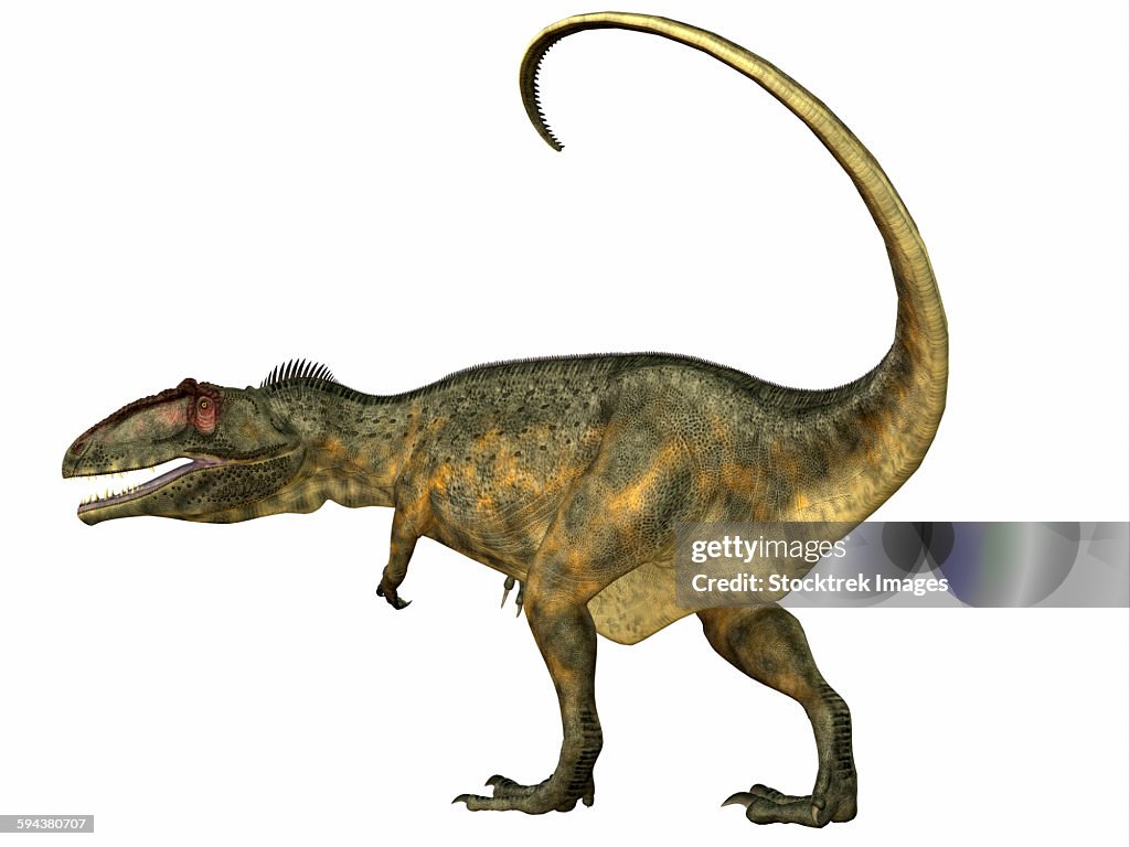 Giganotosaurus Dinosaur Side View High Res Vector Graphic Getty Images giganotosaurus-dinosaur-side-view-high-res-vector-graphic-getty-images
