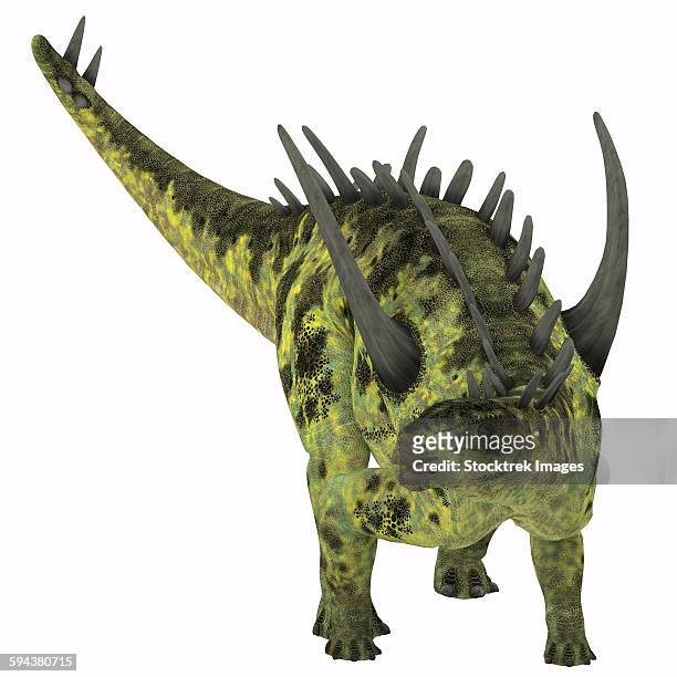 gigantspinosaurus dinosaur, white background. - scute stock illustrations